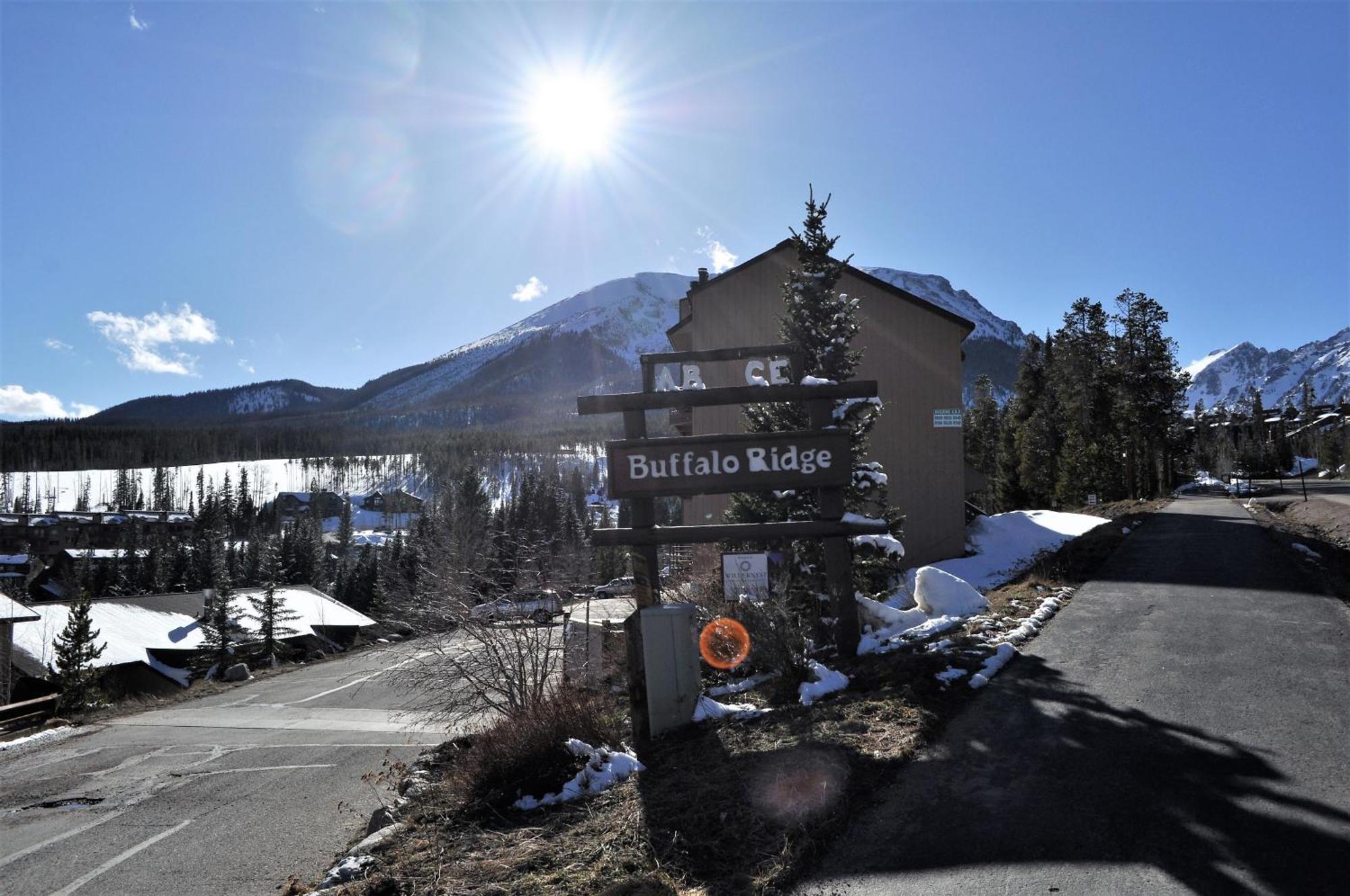 Buffalo Ridge 2 Bedroom 1 Lofts Brbf Silverthorne Exteriér fotografie